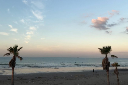 Fujimaru’s Journey - 旅するワイン屋